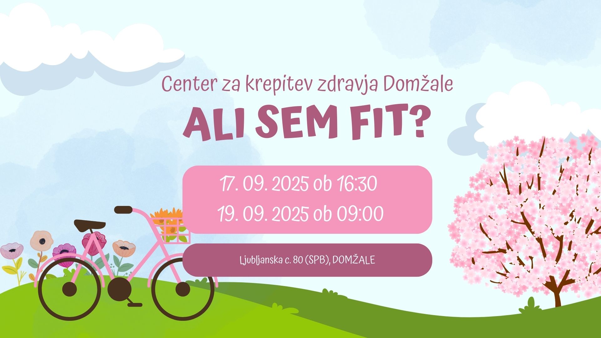 ali sem fit ali sem fit
